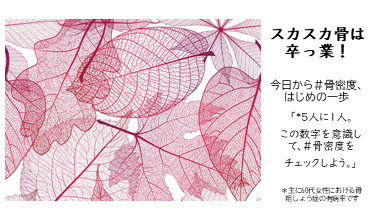 スカスカ骨は卒業！今日から＃骨密度、はじめの一歩