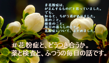 花粉症と、どう付き合うか。薬と検査と、普通の毎日の話です。